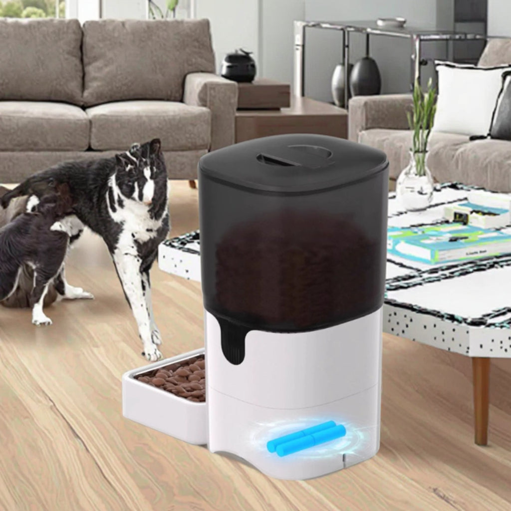 GAMALLE POUR CHAT ET CHIEN AVEC COMMANDE A DISTANCE